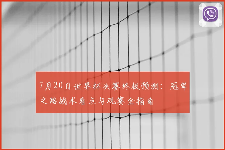 7月20日世界杯决赛终极预测：冠军之路战术看点与观赛全指南