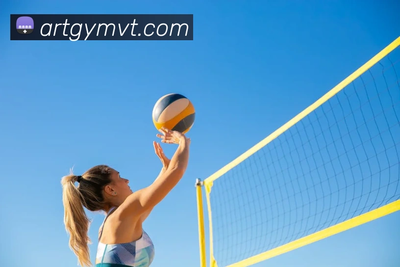 奖项证书